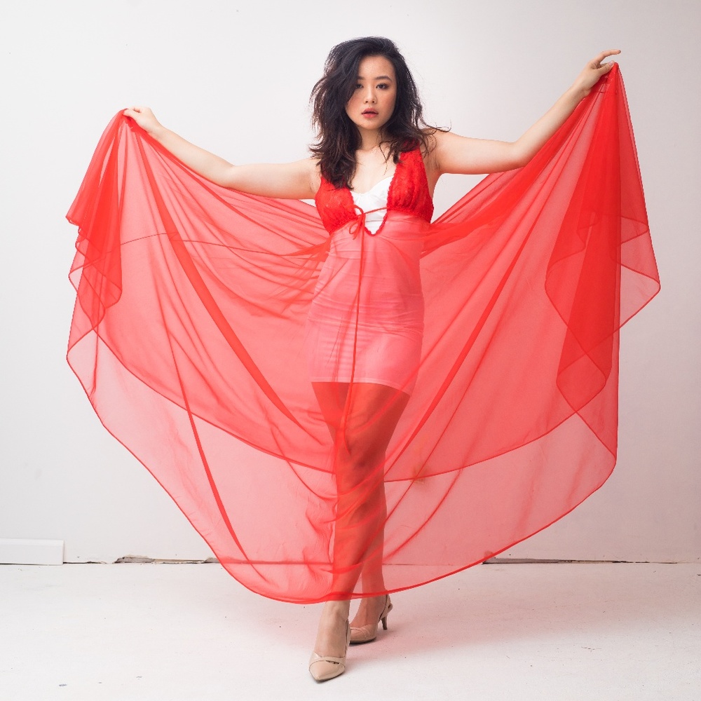 Photoshoot Chiffon Vintage Flowy Dress